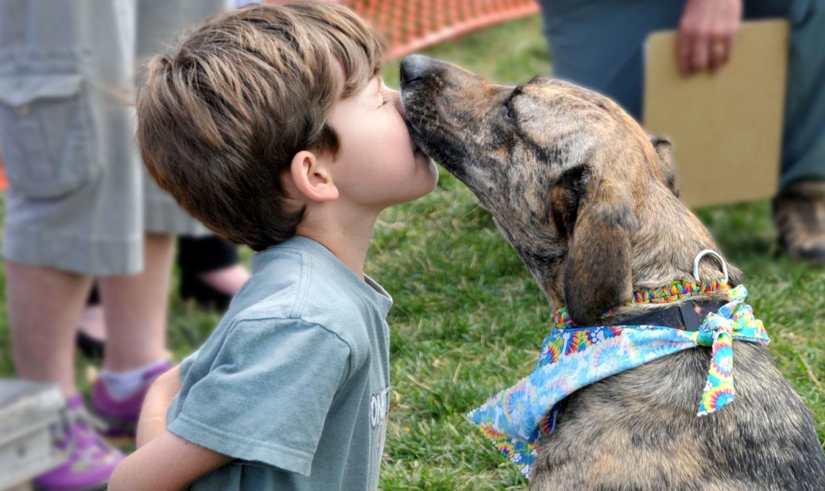 pawtoberfest.jpg